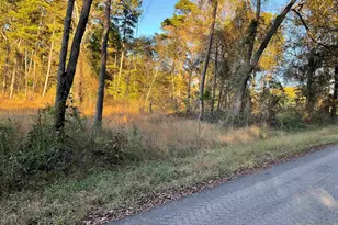 13853 Cr 291, Tyler, TX 75707 - Photo 1
