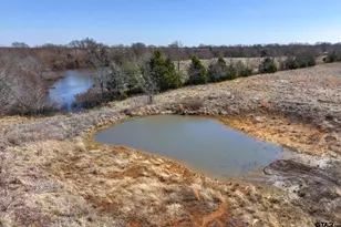 622 Vz County Road 3424, Wills Point, TX 75169 - Photo 36