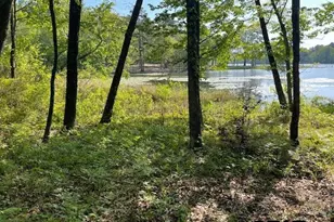 211 Co Rd 4555, Winnsboro, TX 75494 - Photo 38