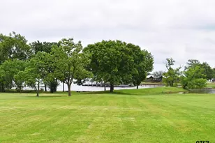 4868 N Fm 17, Alba, TX 75410 - Photo 4