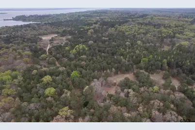 3719 Pine Wood Way (North 10.322 Acres), LaRue, TX 75770 - Photo 4