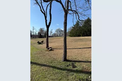 517 An County Rd 147, Palestine, TX 75801 - Photo 40