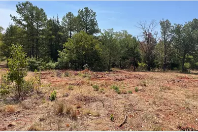 12323 Hackberry Hollow, Tyler, TX 75706 - Photo 1