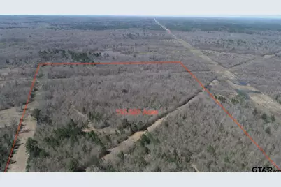Tbd Fm 3001, Marshall, TX 75670 - Photo 4