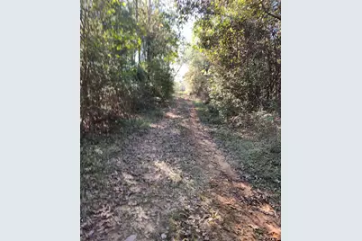 Tbd Fm 3001, Marshall, TX 75670 - Photo 10