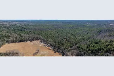 000 Hwy 64 #1, Ben Wheeler, TX 75754 - Photo 24