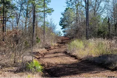 000 Hwy 64 #1, Ben Wheeler, TX 75754 - Photo 8