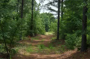 000 Hwy 64, Ben Wheeler, TX 75754 - Photo 1