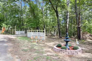 448 Private Rd 6685, Hawkins, TX 75765 - Photo 6