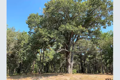 3196 Shadow Pine  Dr Lot 46, LaRue, TX 75770 - Photo 2