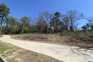 1102 S Peach Ave, Tyler, TX 75701 - Photo 1