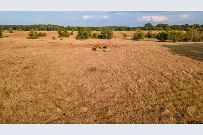 0 W Fm 344, Bullard, TX 75757 - Photo 4