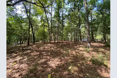 Tbd Lamplight Path, Holly Lake Ranch, TX 75765 - Photo 4