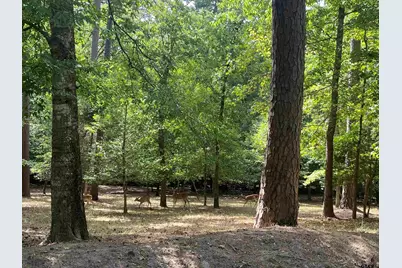 Tbd Lamplight Path, Holly Lake Ranch, TX 75765 - Photo 6