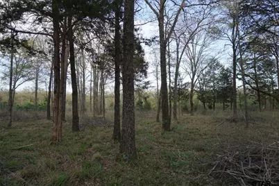 01 Private Rd 5401, Malakoff, TX 75148 - Photo 4