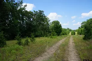 01 Private Rd 5401, Malakoff, TX 75148 - Photo 30
