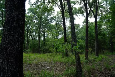 01 Private Rd 5401, Malakoff, TX 75148 - Photo 14