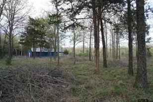 01 Private Rd 5401, Malakoff, TX 75148 - Photo 1