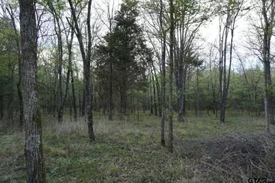 01 Private Rd 5401, Malakoff, TX 75148 - Photo 8