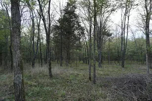 01 Private Rd 5401, Malakoff, TX 75148 - Photo 8