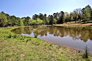 998 County Rd 311, Tyler, TX 75706 - Photo 32
