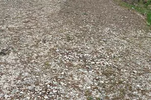 998 County Rd 311, Tyler, TX 75706 - Photo 42