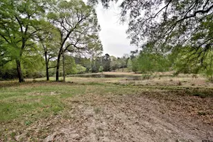 998 County Rd 311, Tyler, TX 75706 - Photo 34