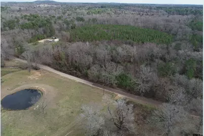 4557 Elderberry, Gilmer, TX 75644 - Photo 28