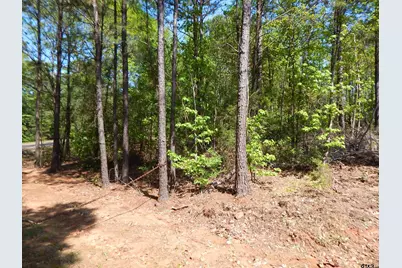 Tbd 15 Acres Fm 1795 Side 1, Big Sandy, TX 75755 - Photo 6