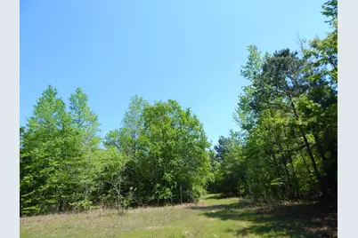 Tbd 15 Acres Fm 1795 Side 2, Big Sandy, TX 75755 - Photo 12