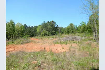 Tbd 15 Acres Fm 1795 Side 2, Big Sandy, TX 75755 - Photo 10
