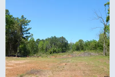Tbd 15 Acres Fm 1795 Side 2, Big Sandy, TX 75755 - Photo 16