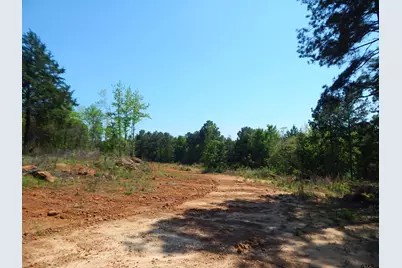 Tbd 15 Acres Fm 1795 Side 2, Big Sandy, TX 75755 - Photo 6