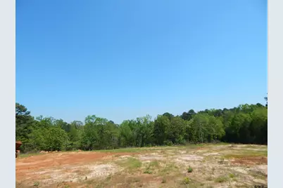Tbd 15 Acres Fm 1795 Side 2, Big Sandy, TX 75755 - Photo 14