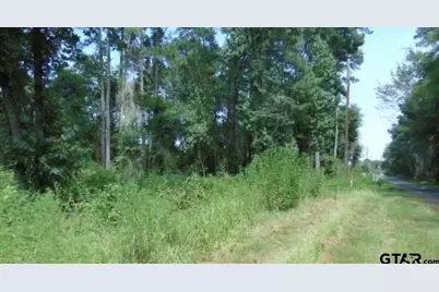 260 Chelsea Lane, Bullard, TX 75757 - Photo 4