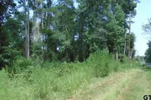 260 Chelsea Ln, Bullard, TX 75757 - Photo 4