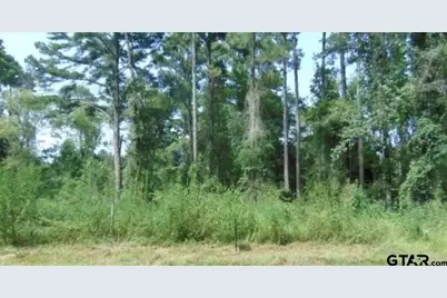 260 Chelsea Lane, Bullard, TX 75757 - Photo 1