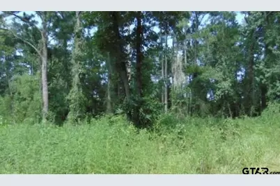 260 Chelsea Lane, Bullard, TX 75757 - Photo 2