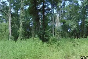 260 Chelsea Ln, Bullard, TX 75757 - Photo 2