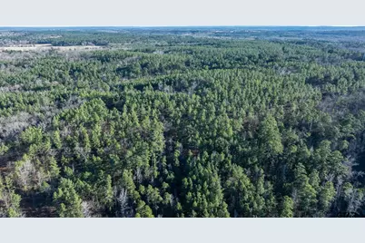 South Tract Fm 279 #2, Ben Wheeler, TX 75754 - Photo 24