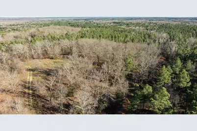 South Tract Fm 279 #2, Ben Wheeler, TX 75754 - Photo 22