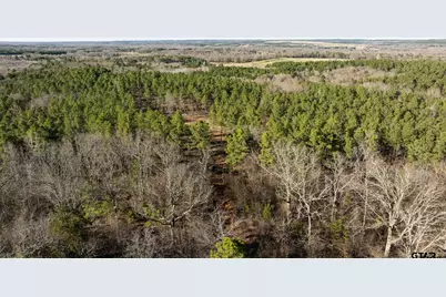 South Tract Fm 279 #2, Ben Wheeler, TX 75754 - Photo 20