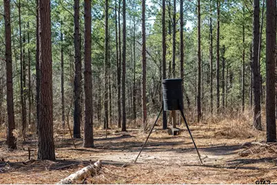 South Tract Fm 279 #2, Ben Wheeler, TX 75754 - Photo 6