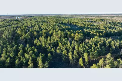 South Tract Fm 279 #2, Ben Wheeler, TX 75754 - Photo 28