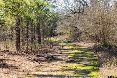 000 Hwy 64 #3, Ben Wheeler, TX 75754 - Photo 10