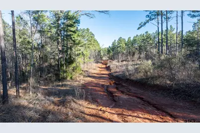 000 Hwy 64 #3, Ben Wheeler, TX 75754 - Photo 28