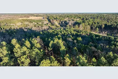 000 Hwy 64 #3, Ben Wheeler, TX 75754 - Photo 2