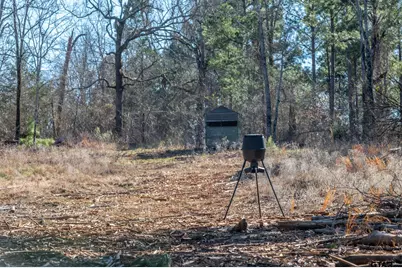 000 Hwy 64 #3, Ben Wheeler, TX 75754 - Photo 6