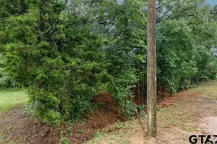 Lot 46 Pr 7011, Frankston, TX 75763 - Photo 4