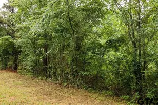 Lot 46 Pr 7011, Frankston, TX 75763 - Photo 1